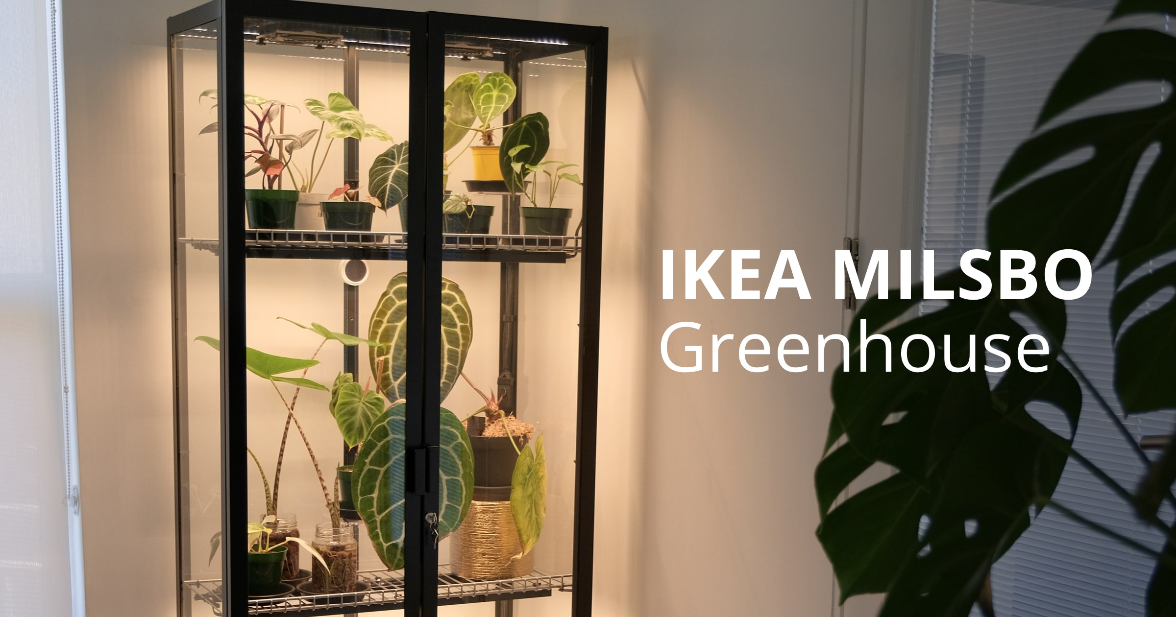 My IKEA MILSBO Greenhouse Build • Nathaniel Daught