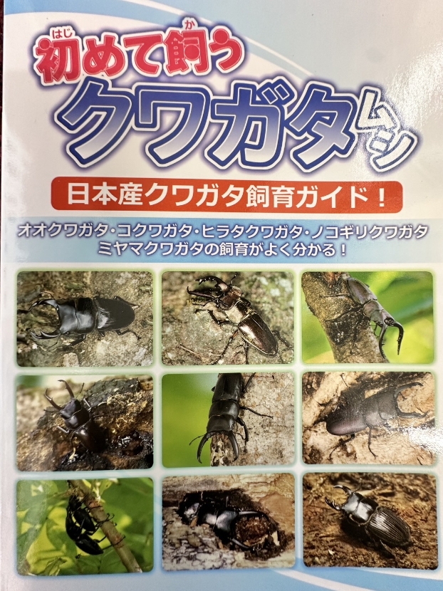昆虫飼育用品 | ページ 6 | Dorcusfarm