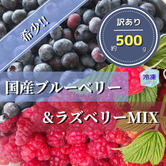 500g】大粒ブルーベリー&ラズベリーMIX | 果物/ベリー類 産直アウル