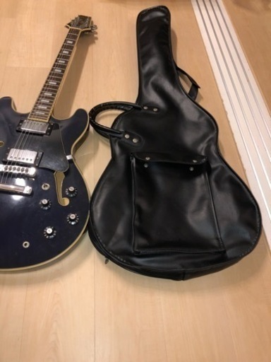 Aria Pro II TA-62C ソフトケース付き Aria Pro II TA-62C ソフト
