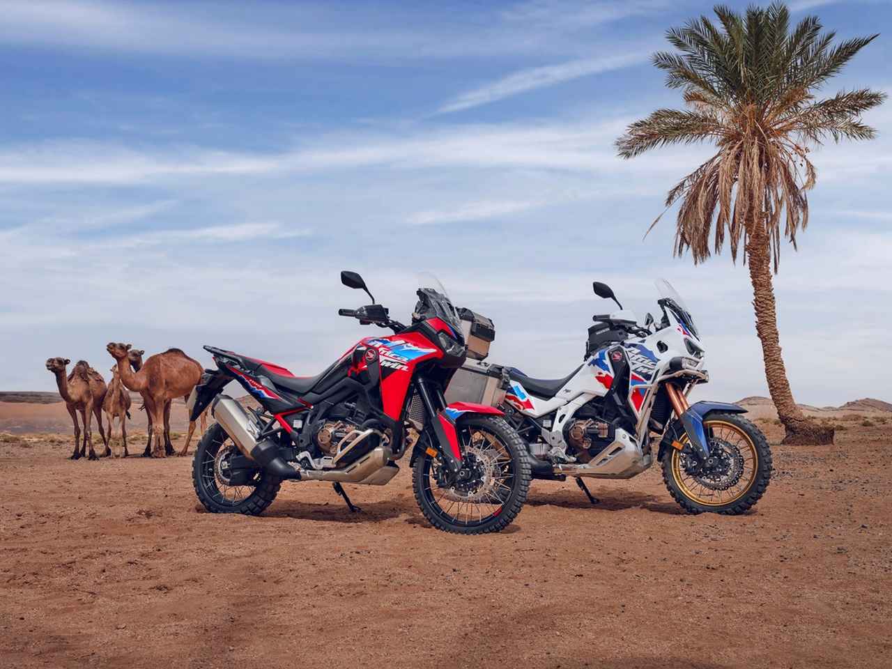 24MY CRF1100Lアフリカツイン、フロント19インチバージョンも - Off1