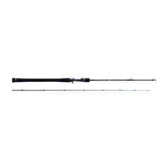 SHIMANO 21ゲーム タイプ LJ B62-2/FSの最安値・インプレ・釣果 | 本音
