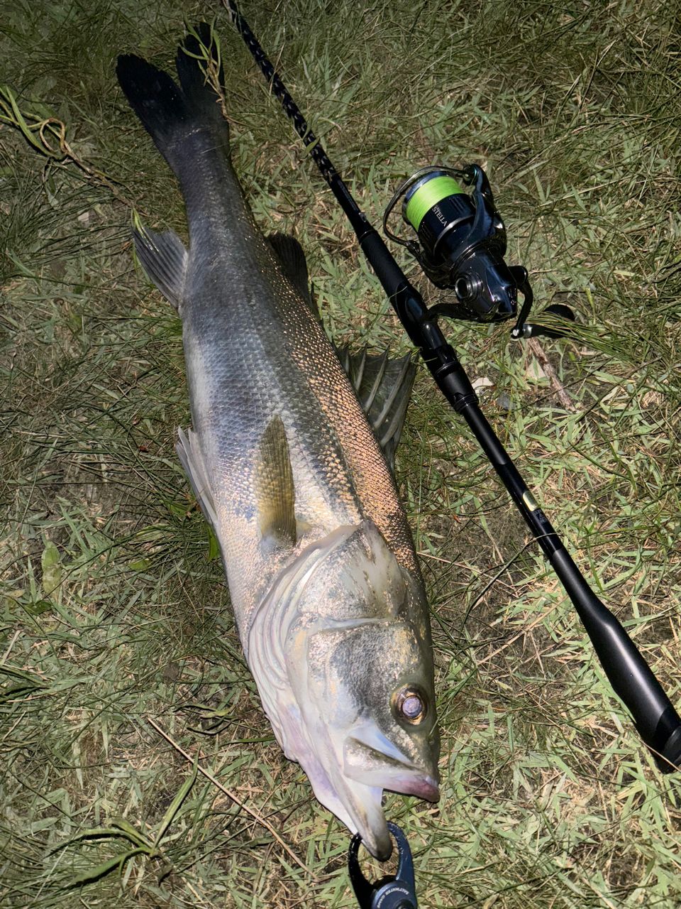 SHIMANO 22エクスセンス ∞ (インフィニティ)のインプレ一覧 | 本音の
