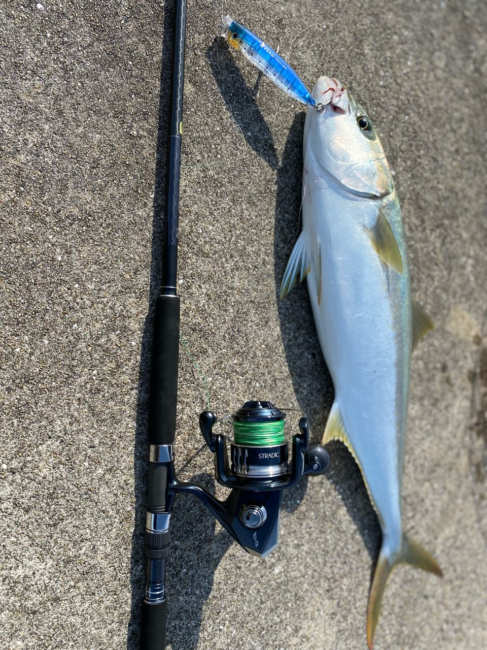 SHIMANO 20ストラディック SW 8000HGの最安値・インプレ・釣果 | 本音