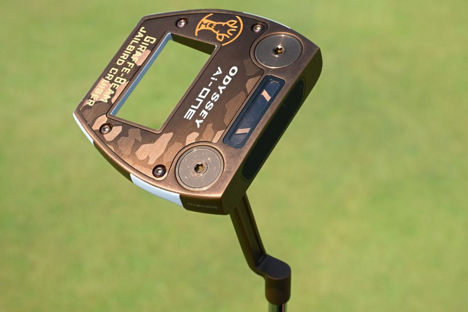 オデッセイ Ai-ONE ジラフビーム ジェイルバードミニ 34インチ 楽天