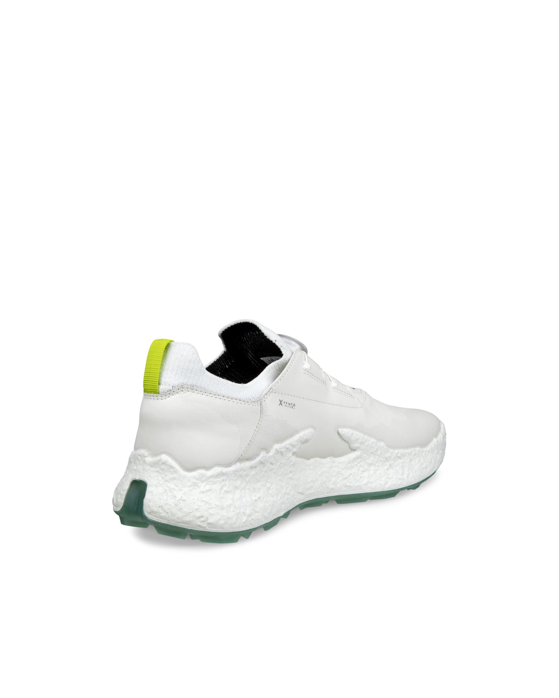 ECCO Golf BIOM H5 Hybrid Men メンズ レザーウォータープルーフゴルフ