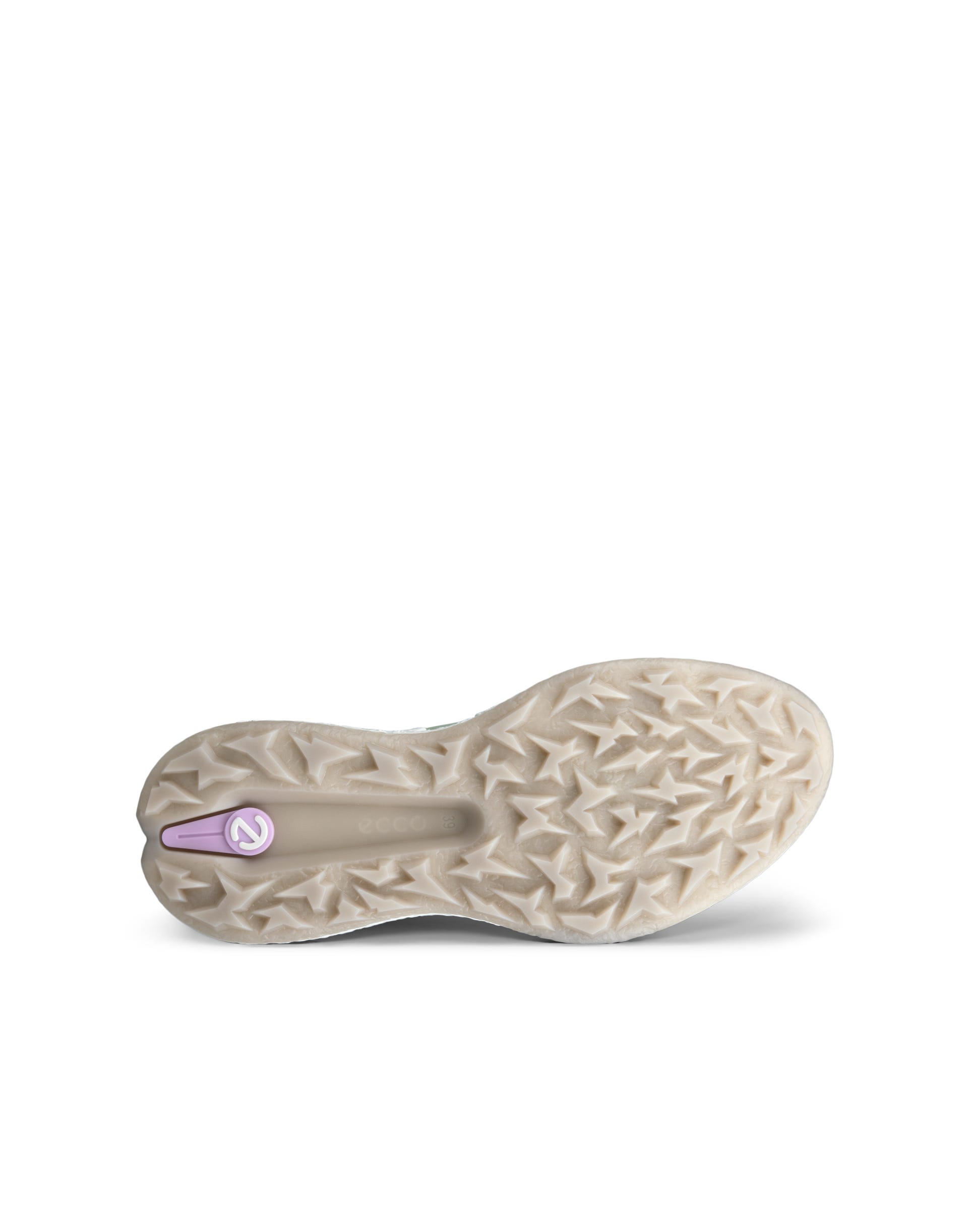ECCO Golf BIOM H5 Hybrid Women ウィメンズ レザーウォータープルーフ