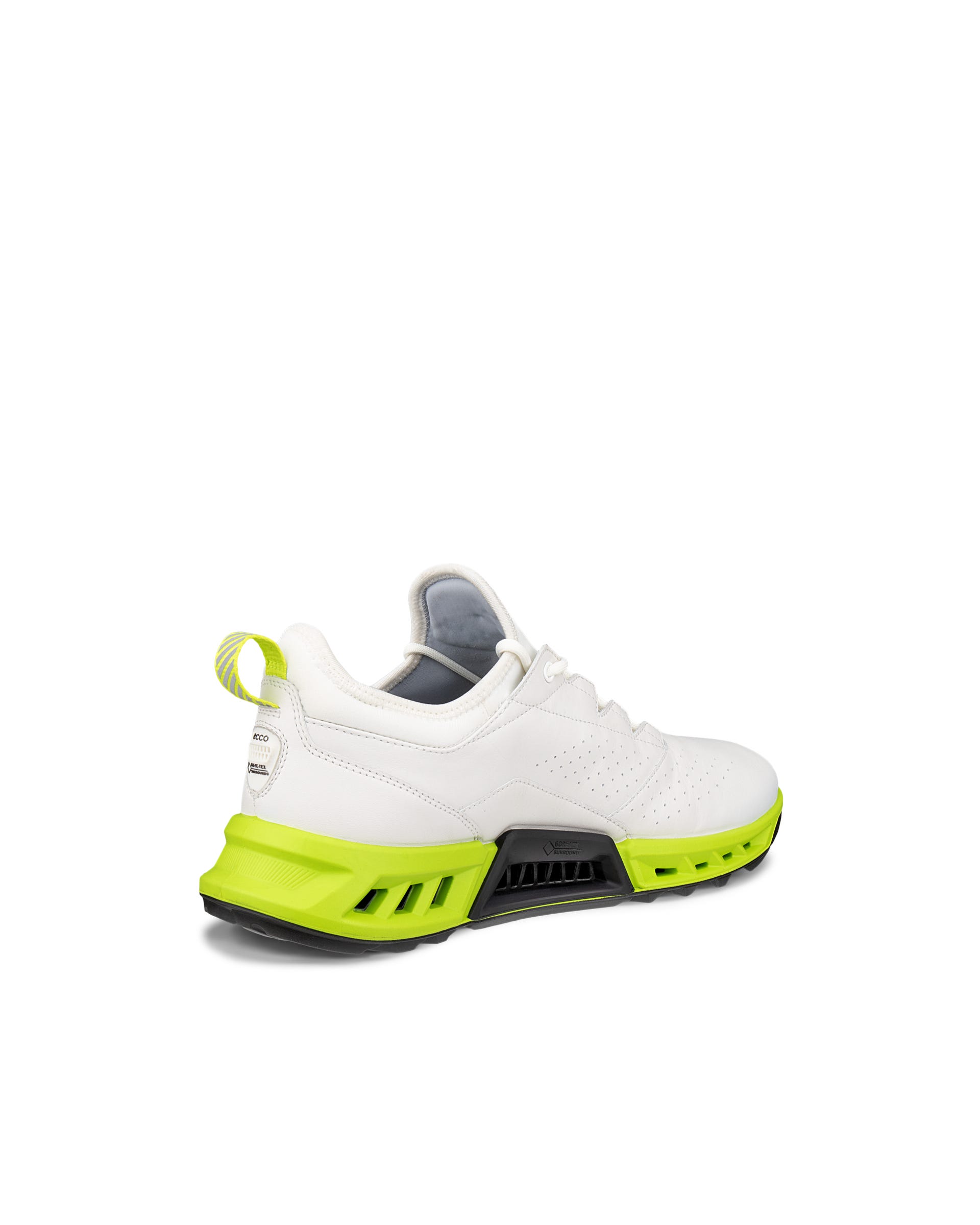 ECCO Golf BIOM C4 Men メンズ レザーGore-Texゴルフシューズ | ホワイト