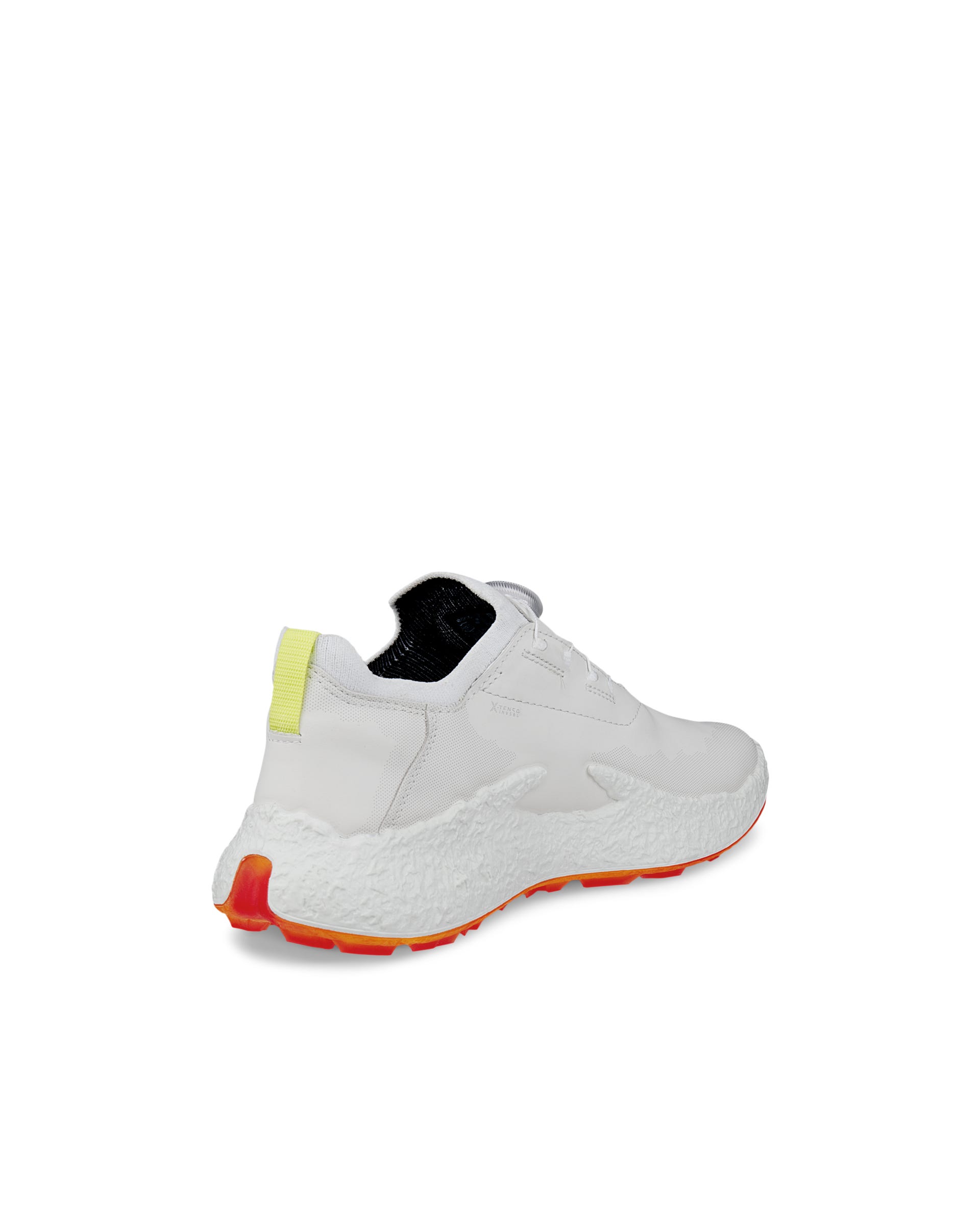 ECCO Golf BIOM H5 Hybrid Women ウィメンズ レザーウォータープルーフ
