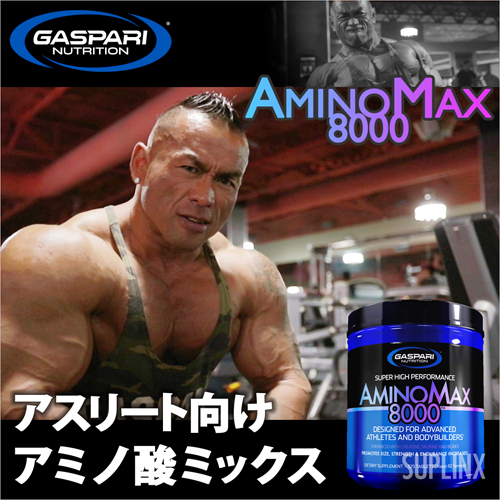 アミノマックス 8000（プロテインミックス）325粒 約40日分 Amino Max