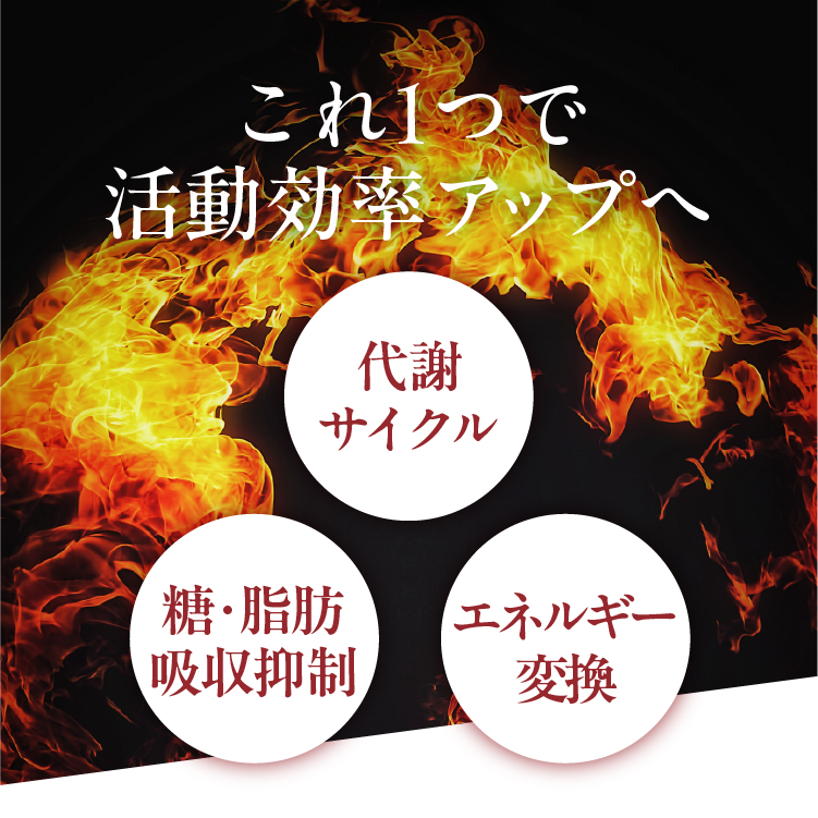 もっとお得に。キレイをお届け。Btoku 【ビトク】