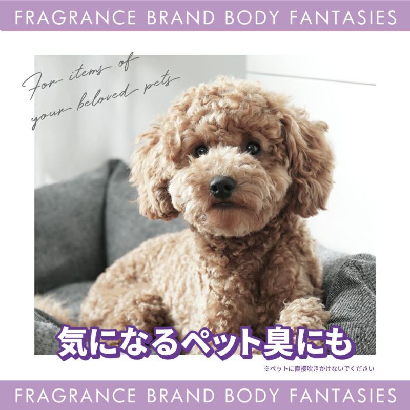 FITS you. STORE | フィッツユーストア