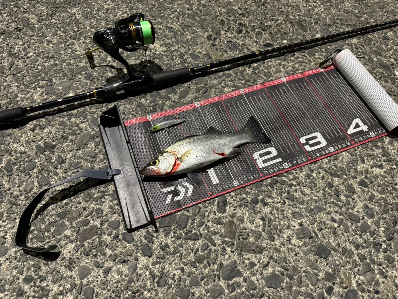 DAIWA 21シーバスハンター X 90ML・Rの最安値・インプレ・釣果 | 本音