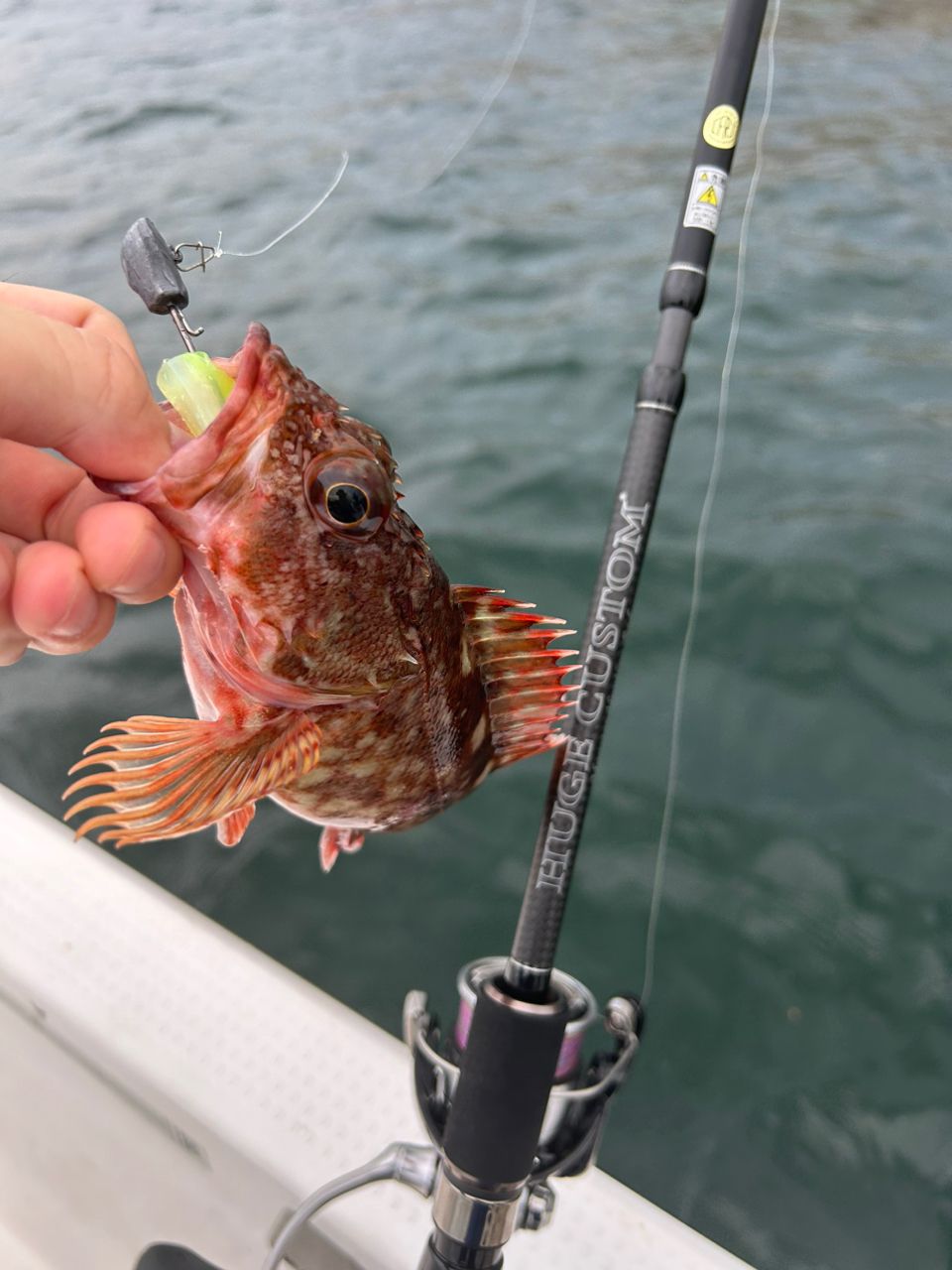 deps ヒュージカスタム HS1N-76Rの最安値・インプレ・釣果 | 本音の
