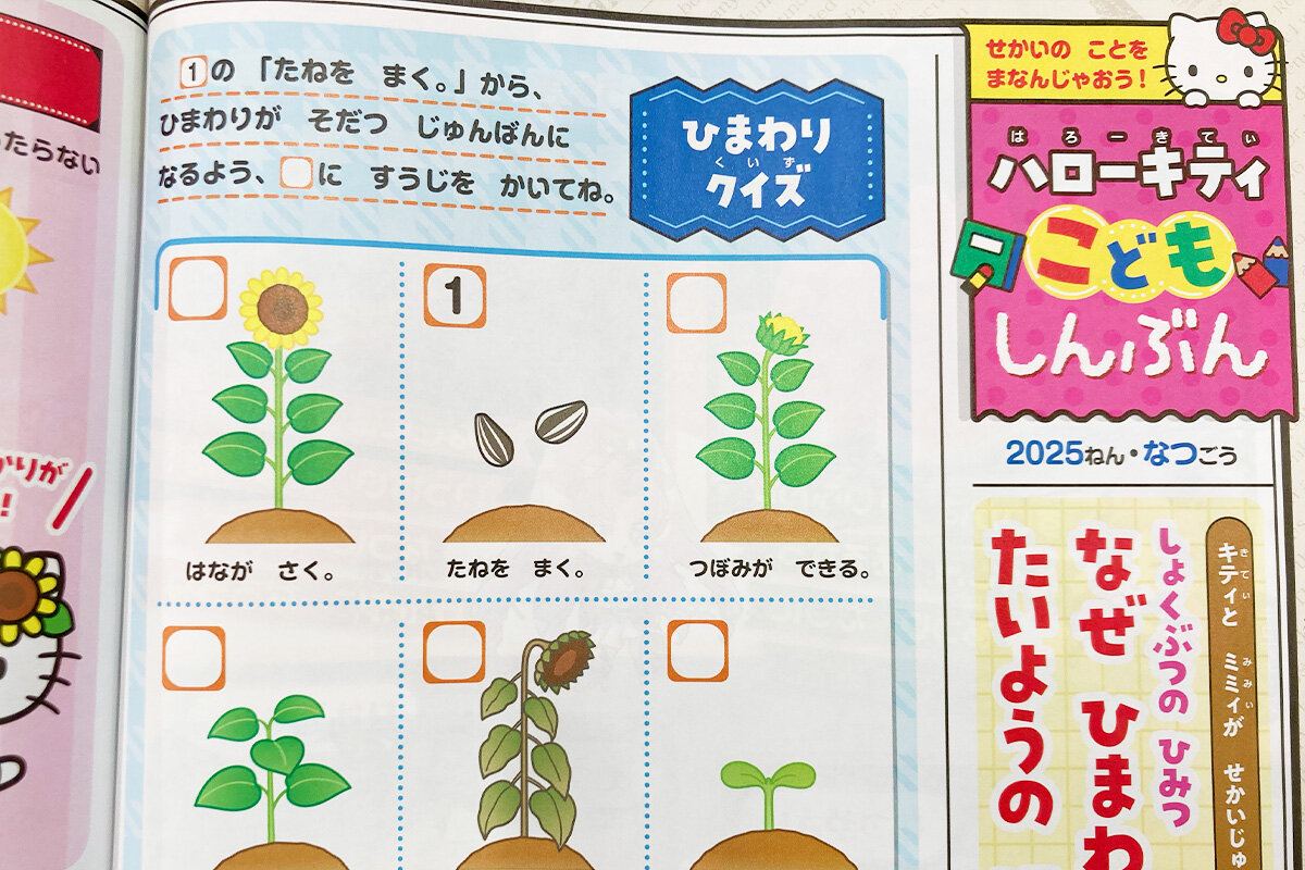 たのしい幼稚園7・8月号の付録は「おぱんちゅうさぎ おでかけ