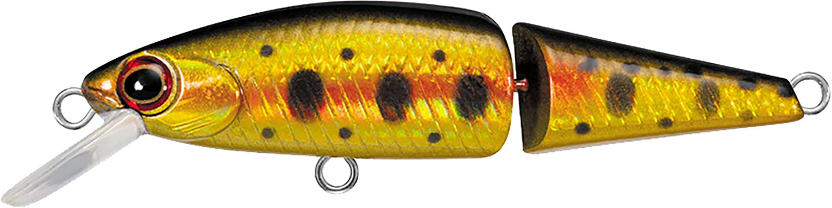Daiwa DR Minnow Jointed Sinking Jerkbait - 2 Inches — Discount Tackle