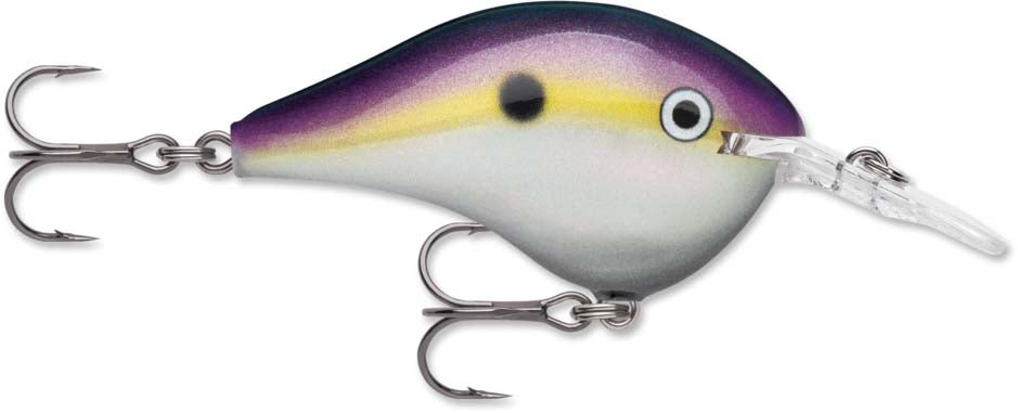 Rapala DT Series Crankbait DT6 — Discount Tackle