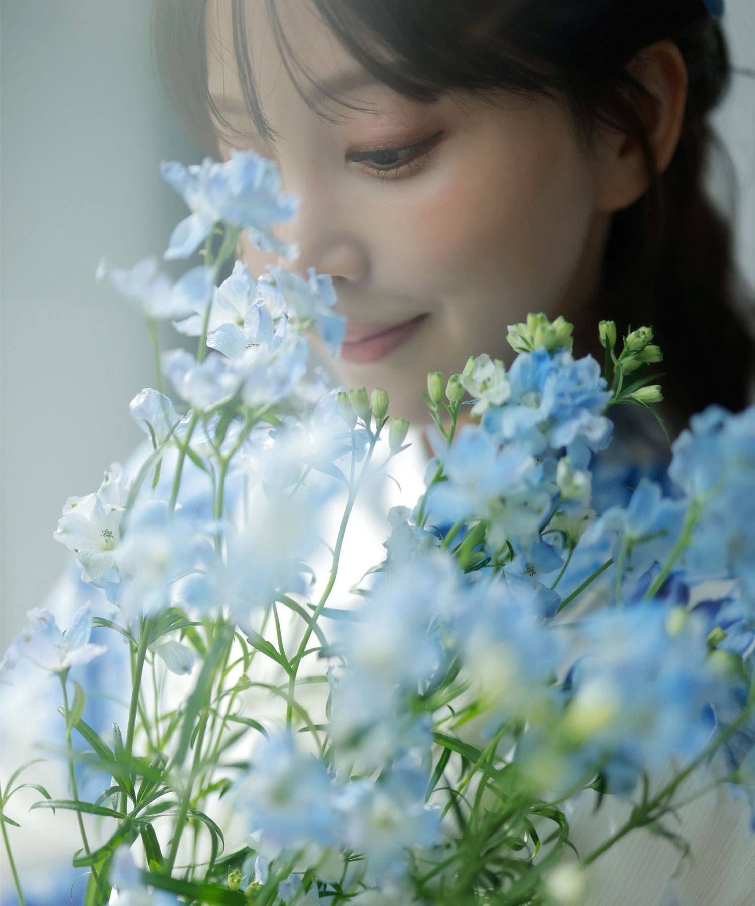 はんなり月下美人(涼) | Dita（ディータ）オフィシャルストア