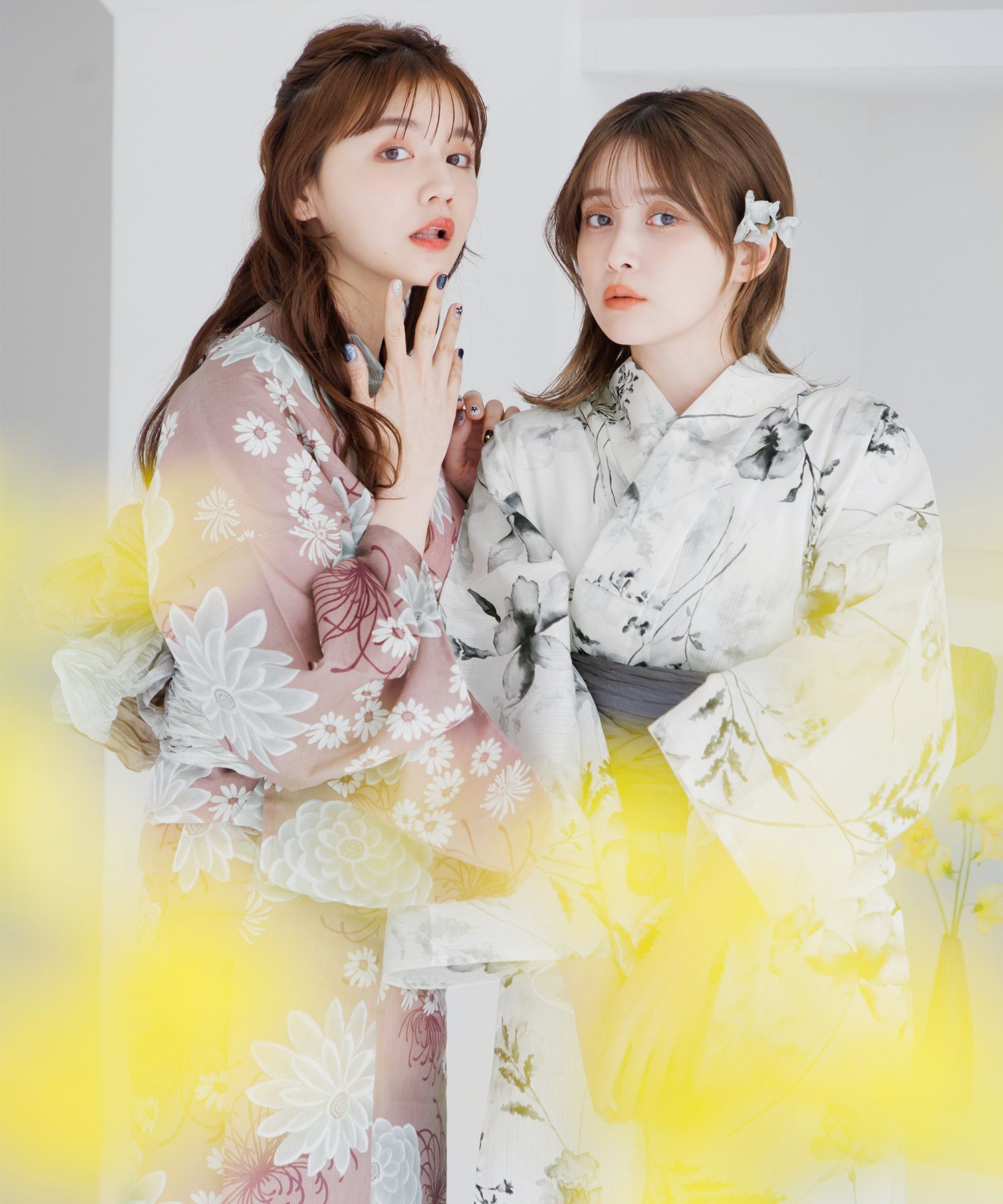 梅見月の菊ちらし | Dita（ディータ）オフィシャルストア