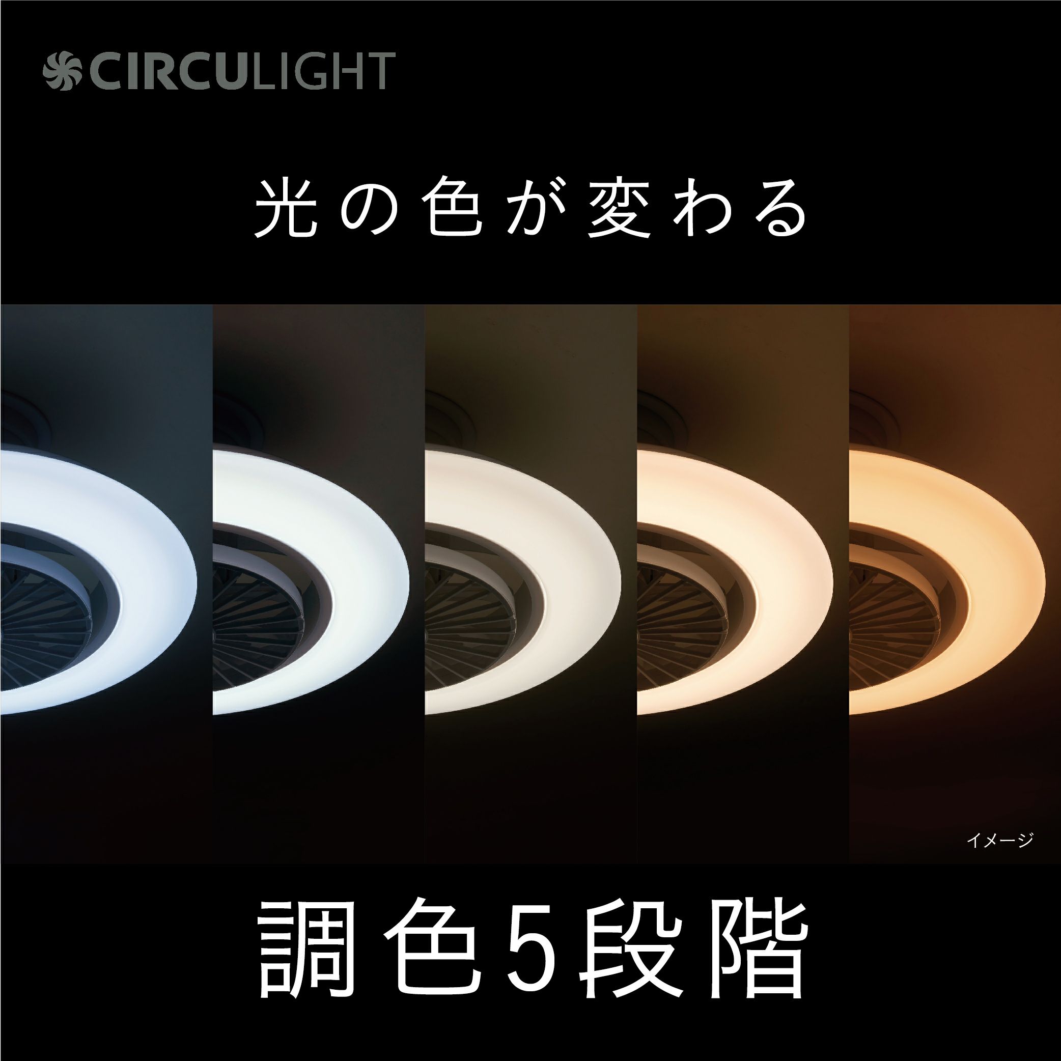 CIRCULIGHT(サーキュライト) EZシリーズ スイングモデル 8畳タイプ DCC
