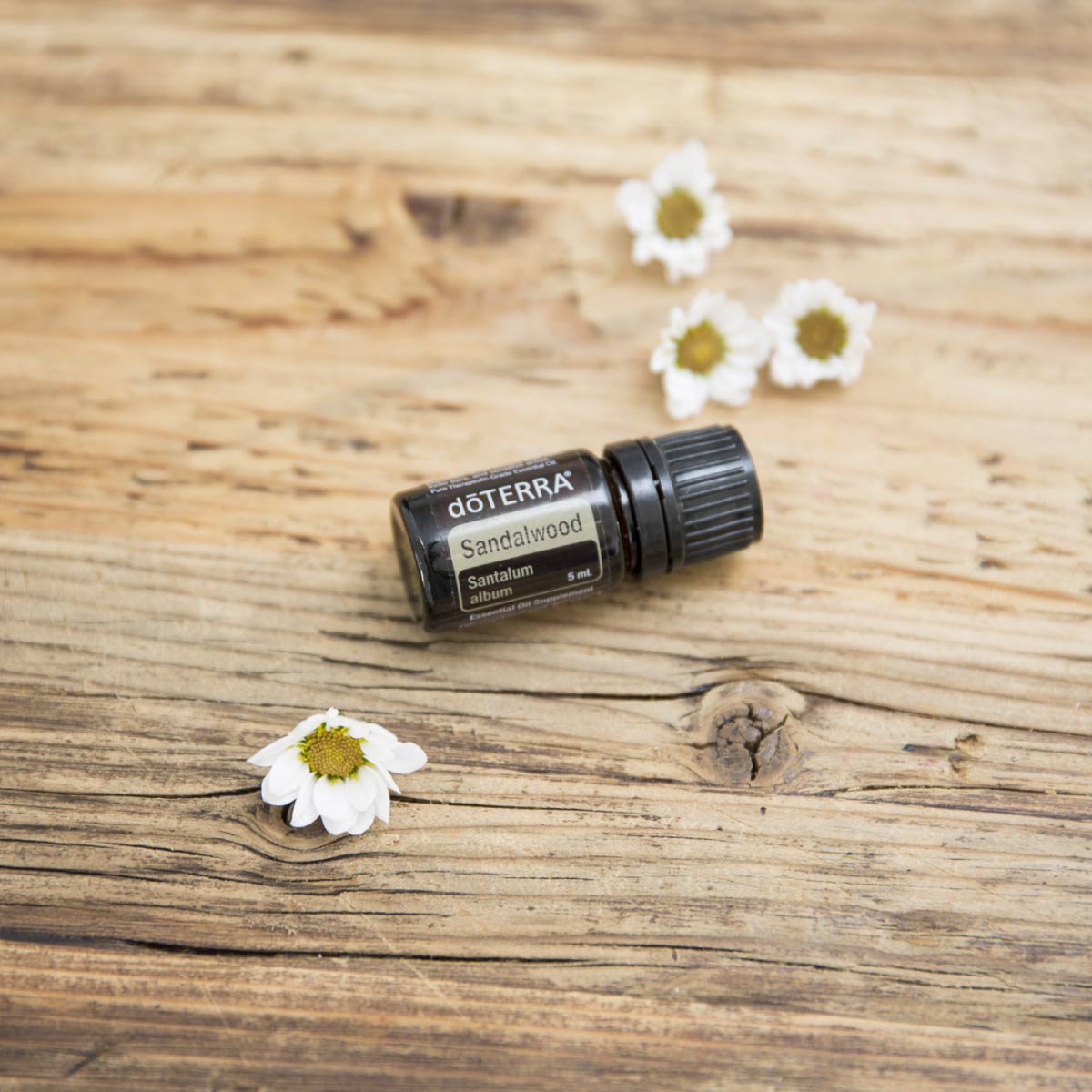 Discover Solutions: Sandalwood | doTERRA Essential Oils