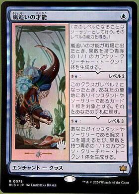 嵐追いの才能/Stormchaser's Talent 4枚セット MTG 嵐追いの才能(英語