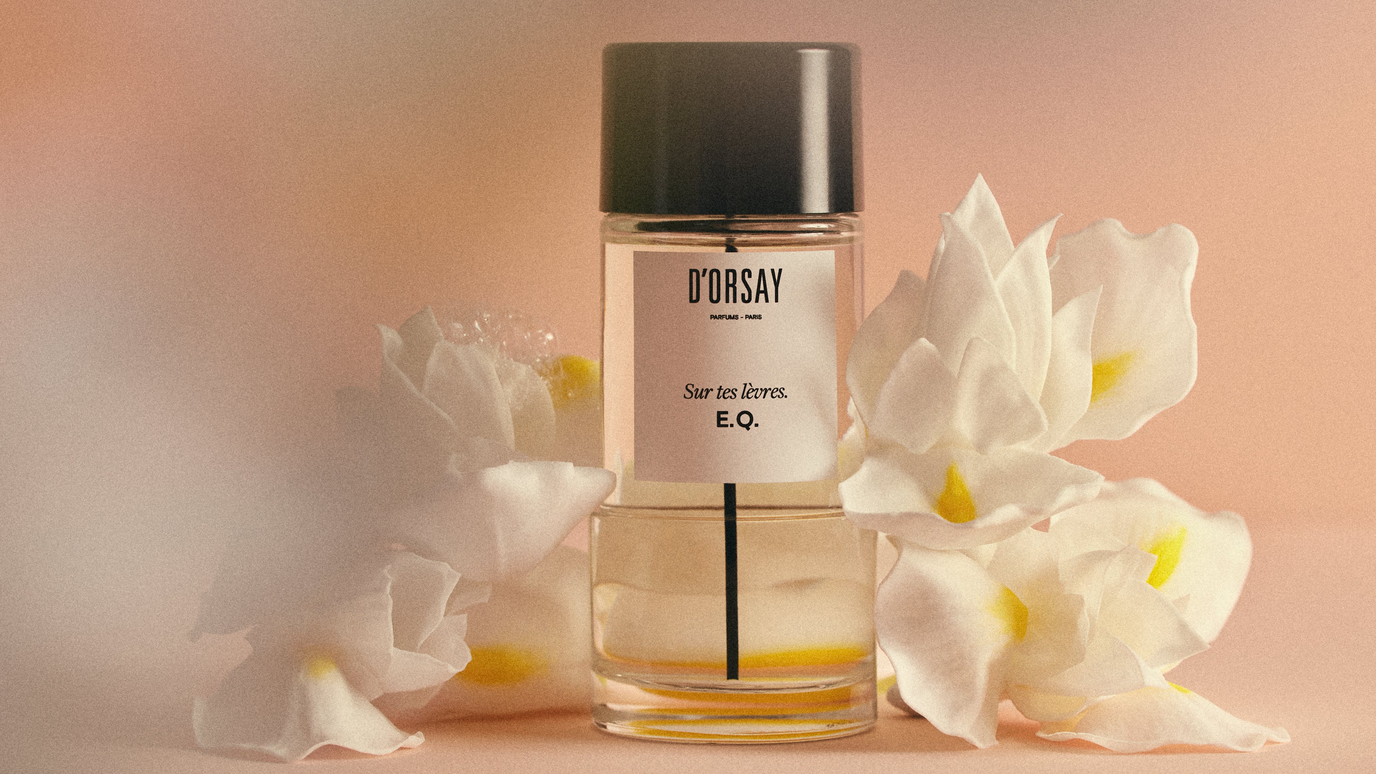 C.G. トラベルエディション - ドルセー ジャパン (d'Orsay Japan