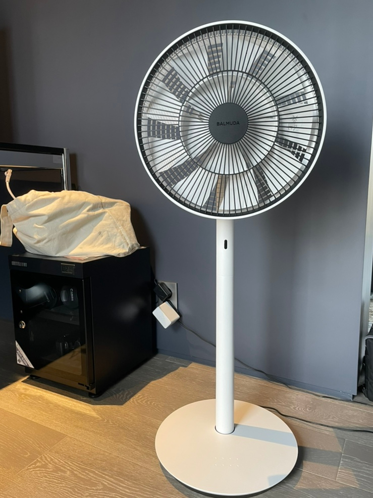 BALMUDA EGF-1700-WG 2022年製