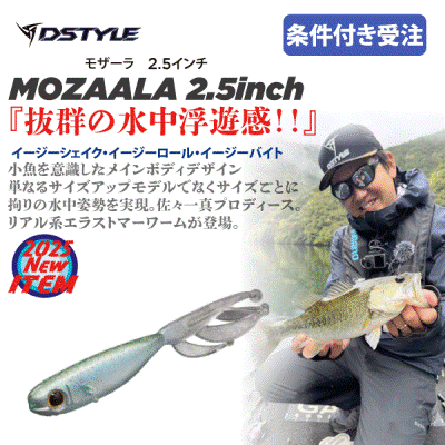 DSTYLE その他ソフトルアーセット バッグ付 DSTYLEルアー・ワーム