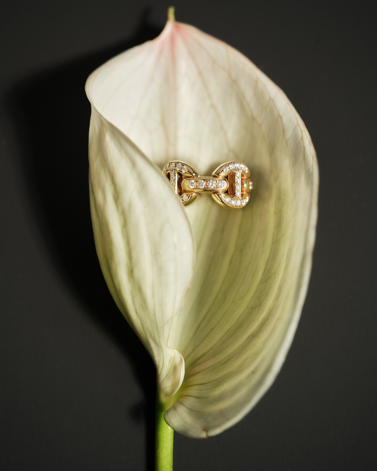 Look Preview vol.2】 | HOORSENBUHS(ホーセンブース)日本公式サイト