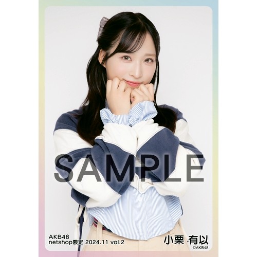 予約商品】AKB48 2024年11月度 net shop限定個別生写真5枚セットvol.2