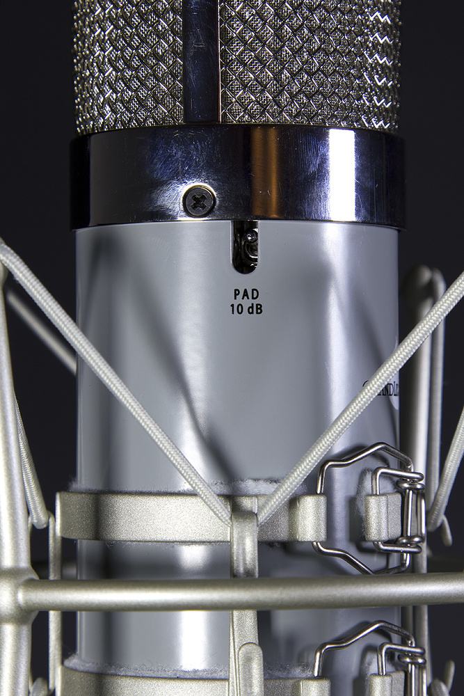 Chandler REDD Microphone