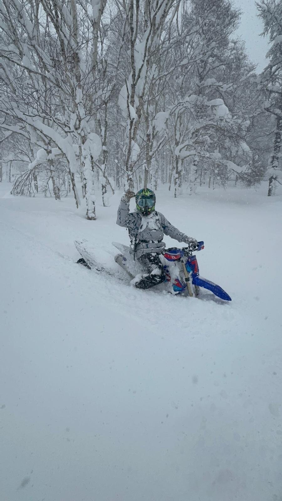 Niseko Snowbike Adventures (2026) - All You MUST Know Before You