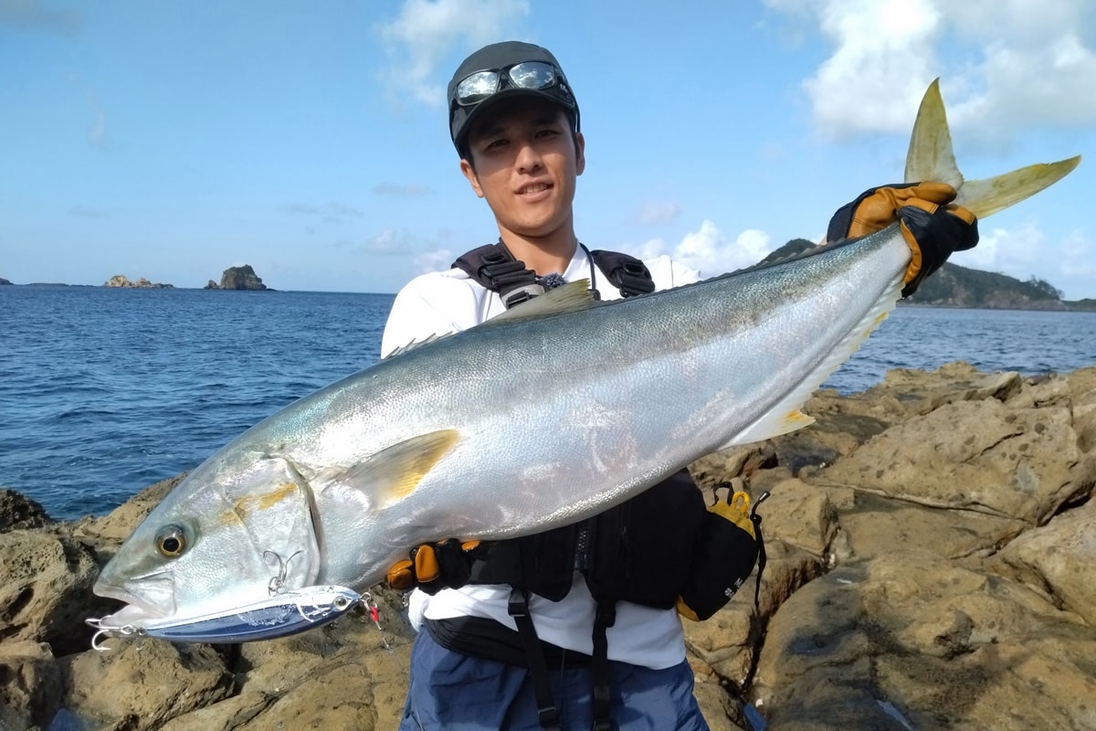 Maria ラピードF160/F190 T-1000（オンラインストア限定カラー