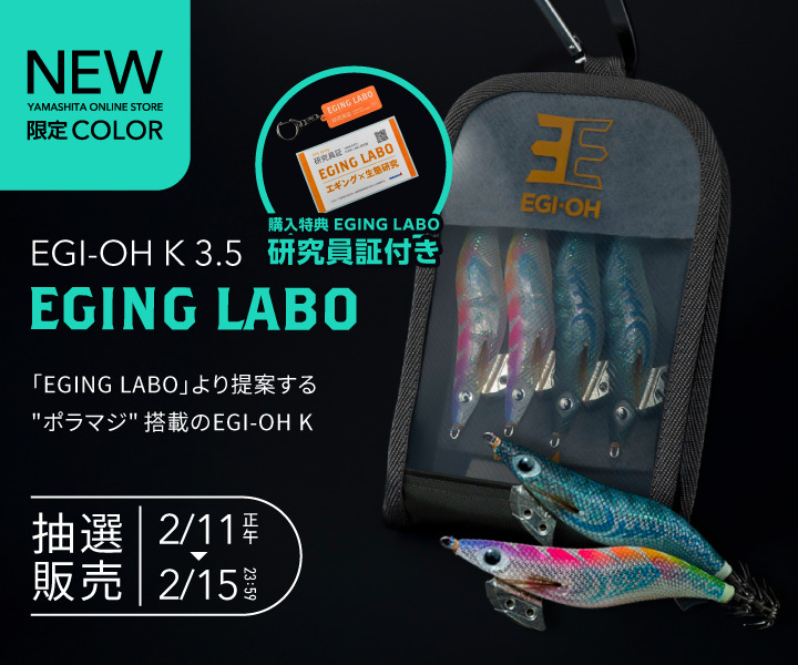 エギ王 11個セット エギ11本セット（ケース付き） エギ王 11本 セット