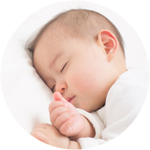 迷ったらコレ！！まずはお試し単発】慧一之水 4L + Waka-ga-El （20日