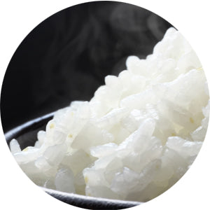 迷ったらコレ！！まずはお試し単発】慧一之水 4L + Waka-ga-El （20日