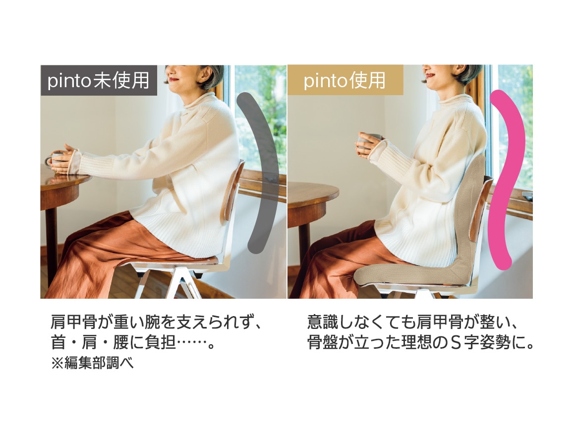 pinto 置くだけラクッションビューティー Hi（専用カバー付き