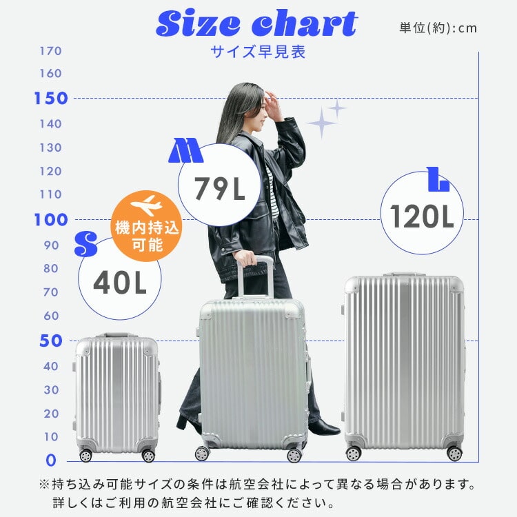 スーツケース 機内持ち込み可能 Sサイズ 40L シルバー HY15054