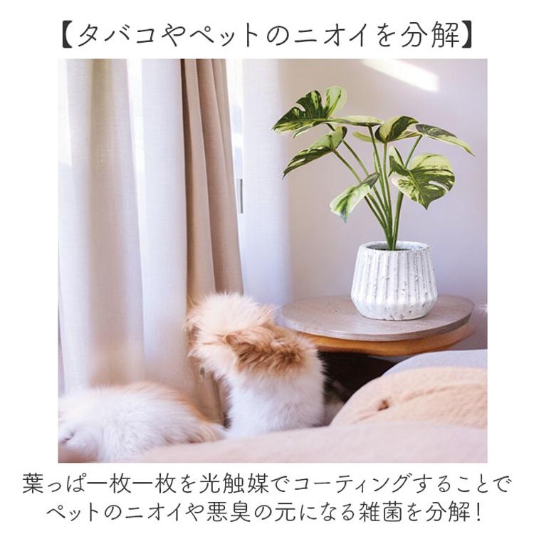 光触媒 フェイクグリーン 通販 人工観葉植物 イミテーショングリーン