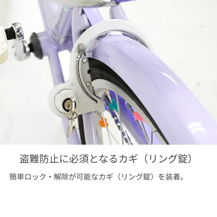 こども用自転車 BRIDGESTONE(ブリヂストン) エコパル ラベンダー 22