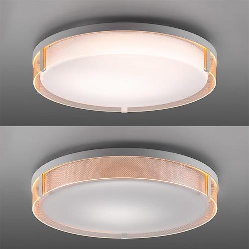 東芝(TOSHIBA) NLEH12022A-LC LEDシーリングライト サイド導光板 調光
