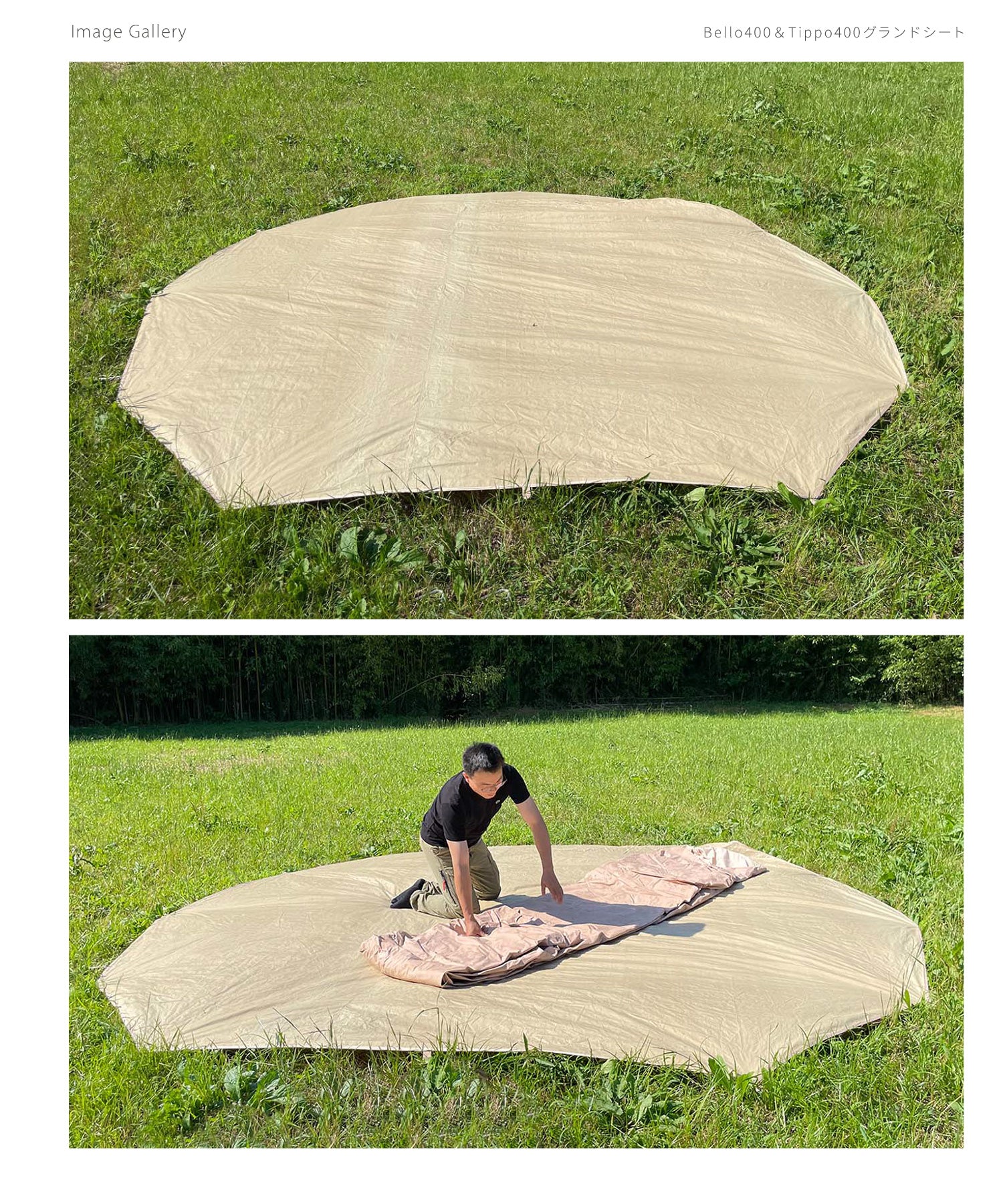 Bello400_Tippo400__re-07.jpg?v