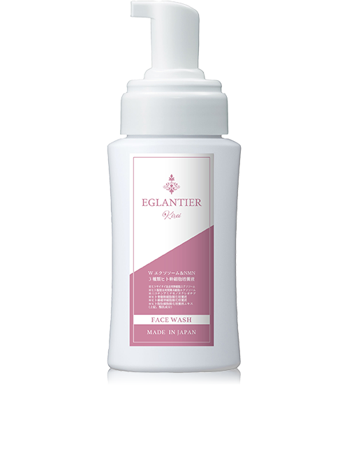 エグランティエ｜業務用エステ化粧品のグランツ