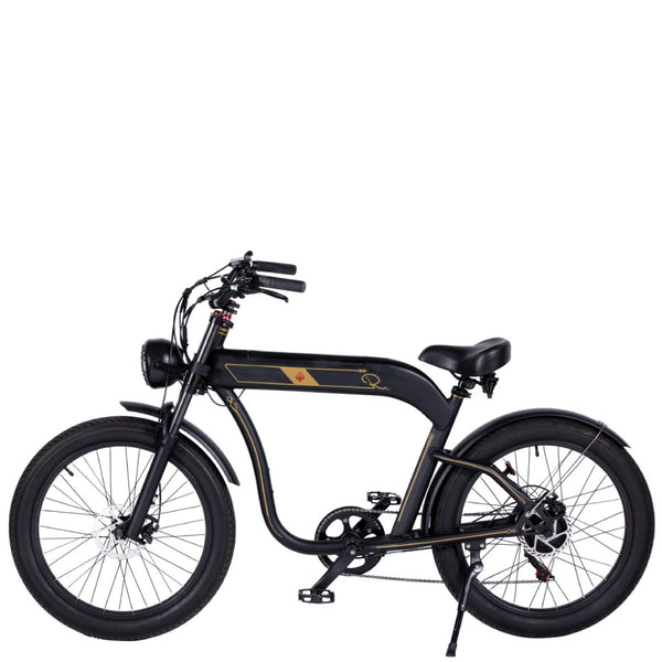 電動自転車／ロカフレーム バサラ【BASARA】e-bike UENO｜バイク王