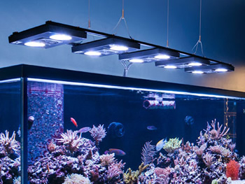 エコテックマリン｜LSS Laboratory