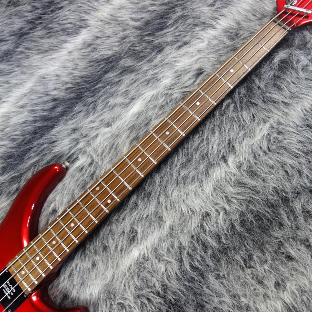 弦楽器 FERNANDES フェルナンデス ギター RJB-45 ブラック