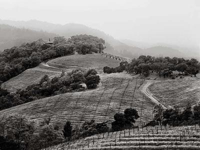 スクリーミング・イーグル SCREAMING EAGLE | エノテカ - ワイン通販