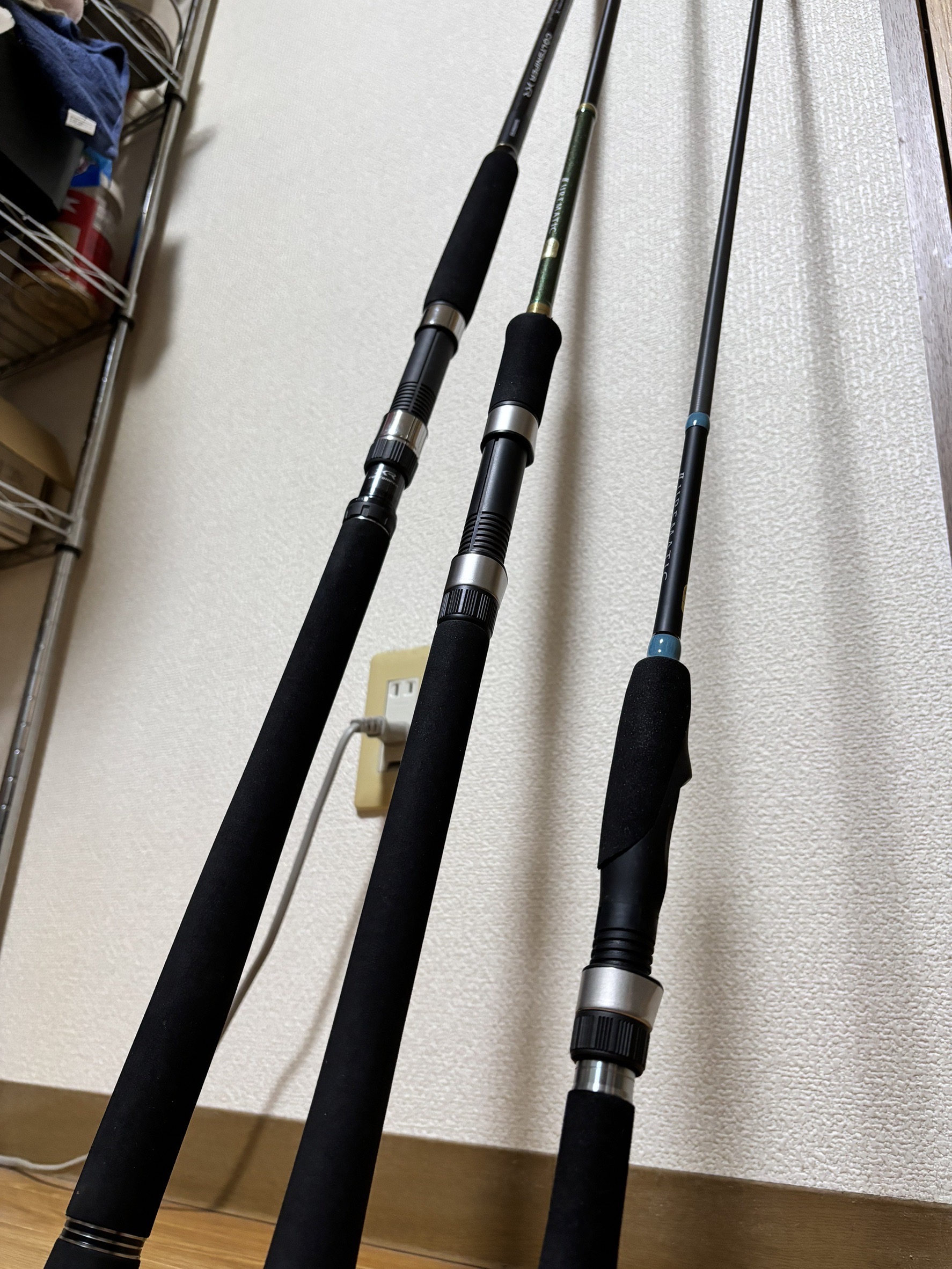 ショアジギングとシーバスロッドの違い【どっちを買うべきか