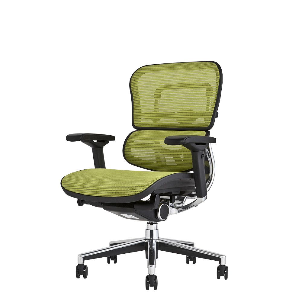 エルゴヒューマン ベーシック / ヘッドレスト無し【メーカー組み立て